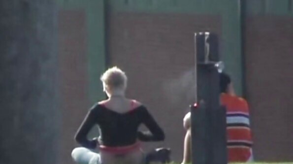 Том хөхтэй зөгийн бал нь оффисын ширээн дээр маш хэцүү хадаж, түүний идээг авдаг